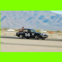 511 - LeMons Chuckwalla 2012.jpg